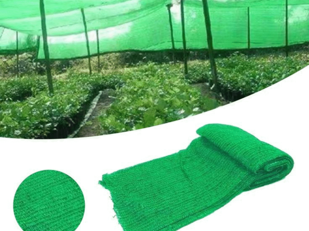 Green sunshade shivbirdnetting