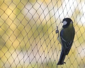 bird net for balcony